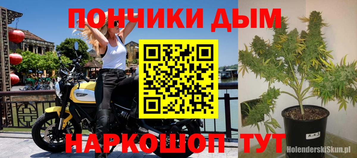 Конопля семена Видное